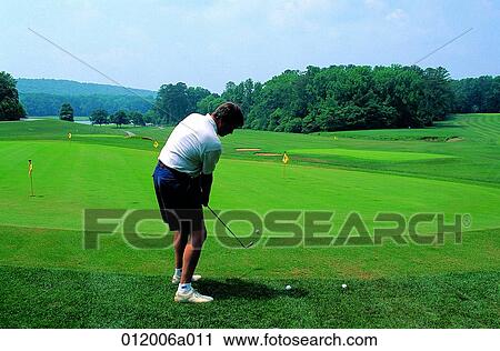 person, golf, golf pose, field, leisure, Leports View Large Photo Image Stock Image - person, golf, golf pose, field, leisure, Leports. Fotosearch