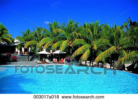 person, Taiwan, Pataya, pool, pool, Palm, Palm View Large Photo Image Stock Photo - person, Taiwan, Pataya, pool, pool, Palm, Palm. Fotosearch