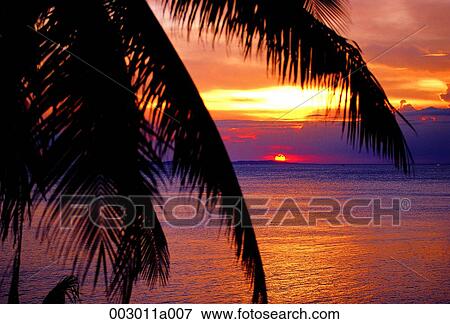 Philippines, Bohol Island, sunset, sea, landscape, nature, Palm View Large Photo Image Stock Photo - Philippines, Bohol Island, sunset, sea, landscape, nature, Palm. Fotosearch