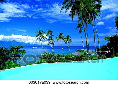 PhilippinesPalawan province, resort, Palm, sea, sky, cloud View Large Photo Image Stock Photo - PhilippinesPalawan province, resort, Palm, sea, sky, cloud. Fotosearch
