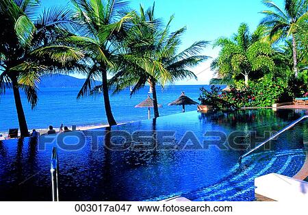 pool, Cairns, Palm, pool, resort, Australia View Large Photo Image Stock Photo - pool, Cairns, Palm, pool, resort, Australia. Fotosearch