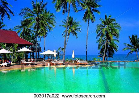 Taiwan, Evason, resort, pool, pool, Palm View Large Photo Image Stock Image - Taiwan, Evason, resort, pool, pool, Palm. Fotosearch