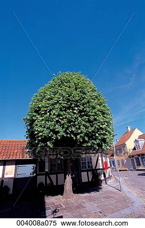 North Europe, Denmark, sightseeing place, sightseeing, trip, Odense, Andersenbirthplace View Large Photo Image Stock Photography - North Europe, Denmark, sightseeing place, sightseeing, trip, Odense, Andersenbirthplace. Fotosearch
