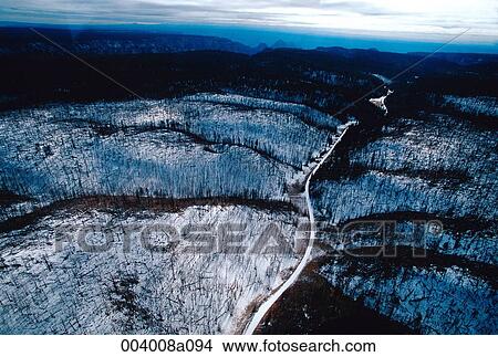 Scandinavia, North Europe, winter, forest, nature View Large Photo Image Picture - Scandinavia, North Europe, winter, forest, nature. Fotosearch