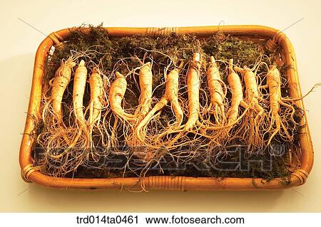 Oriental drugs, Oriental medicine, hospital, Oriental culture, Oriental, traditional medicine, tradition View Large Photo Image Stock Image - Oriental drugs, Oriental medicine, hospital, Oriental culture, Oriental, traditional medicine, tradition. Fotosearch