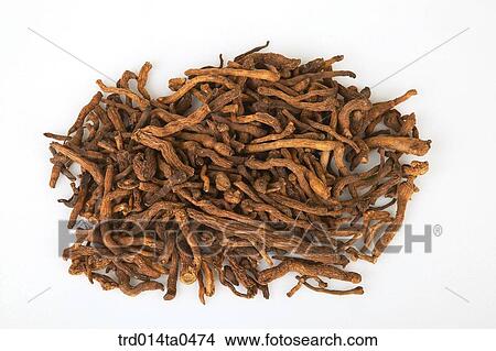 Oriental drugstuffs, Oriental medicine, Oriental medicine hospital, Oriental culture, Oriental, Oriental medicine View Large Photo Image Picture - Oriental drugstuffs, Oriental medicine, Oriental medicine hospital, Oriental culture, Oriental, Oriental medicine. Fotosearch