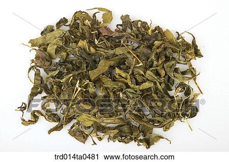 Oriental drugstuffs, Oriental medicine, Oriental medicine hospital, Oriental culture, Oriental, Oriental medicine View Large Photo Image Stock Image - Oriental drugstuffs, Oriental medicine, Oriental medicine hospital, Oriental culture, Oriental, Oriental medicine. Fotosearch