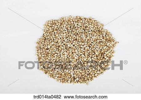 Oriental drugstuffs, Oriental medicine, Oriental medicine hospital, Oriental culture, Oriental, Oriental medicine View Large Photo Image Stock Image - Oriental drugstuffs, Oriental medicine, Oriental medicine hospital, Oriental culture, Oriental, Oriental medicine. Fotosearch