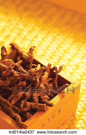 Oriental drugstuffs, Oriental medicine, Oriental medicine hospital, Oriental culture, Oriental, Oriental medicine View Large Photo Image Stock Photo - Oriental drugstuffs, Oriental medicine, Oriental medicine hospital, Oriental culture, Oriental, Oriental medicine. Fotosearch