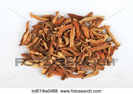 Oriental drugstuffs, Oriental medicine, Oriental medicine hospital, Oriental culture, Oriental, Oriental medicine View Large Photo Image Stock Photo - Oriental drugstuffs, Oriental medicine, Oriental medicine hospital, Oriental culture, Oriental, Oriental medicine. Fotosearch