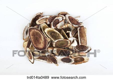 Oriental drugstuffs, Oriental medicine, Oriental medicine hospital, Oriental culture, Oriental, Oriental medicine View Large Photo Image Stock Photo - Oriental drugstuffs, Oriental medicine, Oriental medicine hospital, Oriental culture, Oriental, Oriental medicine. Fotosearch
