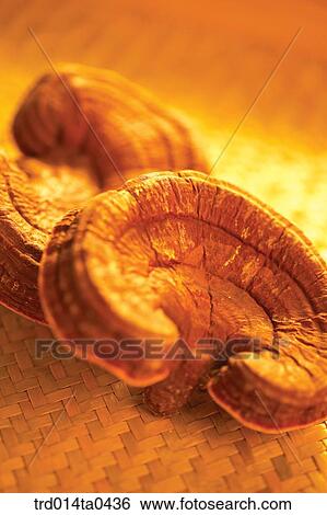 Oriental drugstuffs, Oriental medicine, Oriental medicine hospital, Oriental culture, Oriental, Oriental medicine View Large Photo Image Stock Photograph - Oriental drugstuffs, Oriental medicine, Oriental medicine hospital, Oriental culture, Oriental, Oriental medicine. Fotosearch