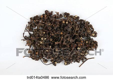 Oriental drugstuffs, Oriental medicine, Oriental medicine hospital, Oriental culture, Oriental, Oriental medicine View Large Photo Image Stock Photograph - Oriental drugstuffs, Oriental medicine, Oriental medicine hospital, Oriental culture, Oriental, Oriental medicine. Fotosearch