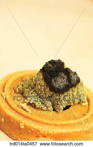 person, Oriental medicine, Oriental, Oriental culture, Oriental medicine, traditional medicine, tradition View Large Photo Image Stock Photo - person, Oriental medicine, Oriental, Oriental culture, Oriental medicine, traditional medicine, tradition. Fotosearch