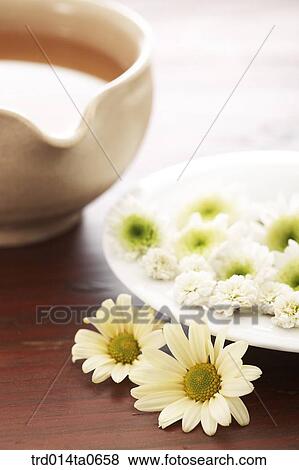 chrysanthemum, chrysanthemumtea, flowertea, flower, medicines, tea, cup View Large Photo Image Stock Photo - chrysanthemum, chrysanthemumtea, flowertea, flower, medicines, tea, cup. Fotosearch