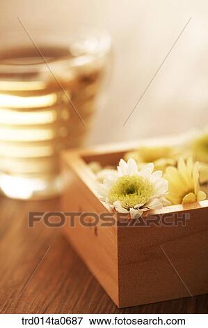 Stock Photo - chrysanthemum, chrysanthemumtea, flowertea, flower, medicines, tea, cup. Fotosearch