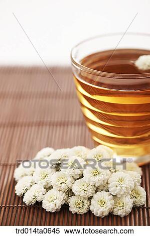 Stock Photography - chrysanthemumtea, flowertea, flower, medicines, tea, cup. Fotosearch