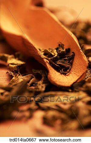 green tea, green tea View Large Photo Image Stock Photo - green tea, green tea. Fotosearch
