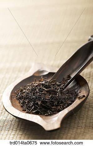green tea, Jakseol View Large Photo Image Stock Photography - green tea, Jakseol. Fotosearch