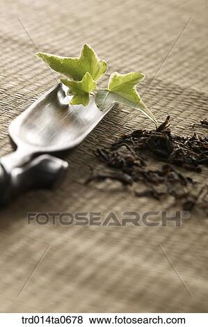 green tea View Large Photo Image Stock Photo - green tea. Fotosearch