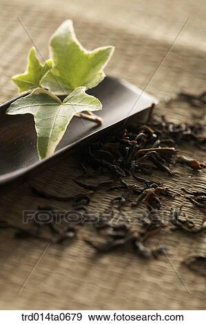 green tea View Large Photo Image Stock Photo - green tea. Fotosearch