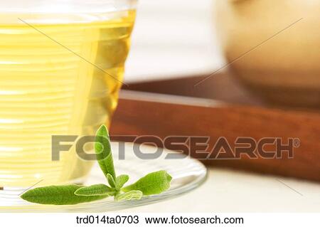 herb, leaf, herbtea, herbtea, wellbeing, tea, lavender View Large Photo Image Stock Image - herb, leaf, herbtea, herbtea, wellbeing, tea, lavender. Fotosearch