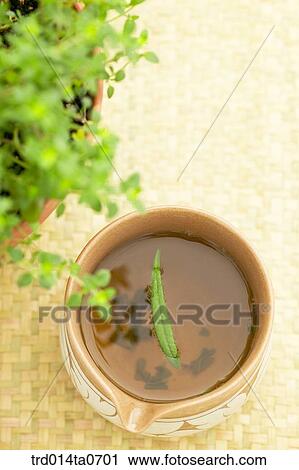 rosemary, herb, herbtea, herbtea, cup View Large Photo Image Stock Image - rosemary, herb, herbtea, herbtea, cup. Fotosearch