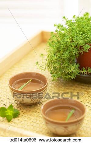 rosemary, herb, herbtea, herbtea, cupplate, pot, wellbeing View Large Photo Image Stock Photograph - rosemary, herb, herbtea, herbtea, cupplate, pot, wellbeing. Fotosearch