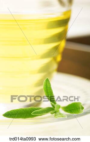 tea, drink, herbtea, herbtea, herb, leaf, leaf View Large Photo Image Stock Image - tea, drink, herbtea, herbtea, herb, leaf, leaf. Fotosearch