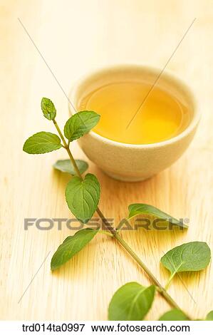 tea, drink, herbtea, herbtea, herb, leaf, leaf View Large Photo Image Stock Photo - tea, drink, herbtea, herbtea, herb, leaf, leaf. Fotosearch