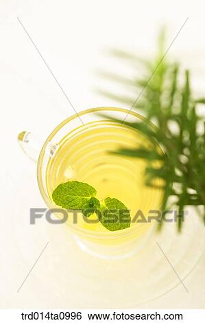 tea, drink, herbtea, herbtea, herb, leaf, leaf View Large Photo Image Stock Photograph - tea, drink, herbtea, herbtea, herb, leaf, leaf. Fotosearch