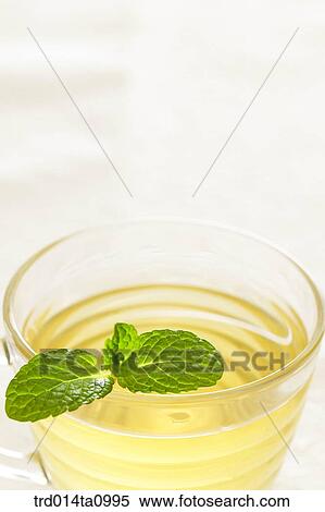 tea, drink, herbtea, herbtea, herb, leaf, leaf View Large Photo Image Stock Photography - tea, drink, herbtea, herbtea, herb, leaf, leaf. Fotosearch
