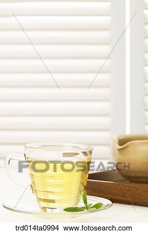 tea, drink, herbtea, rosemary, cup, plate View Large Photo Image Picture - tea, drink, herbtea, rosemary, cup, plate. Fotosearch