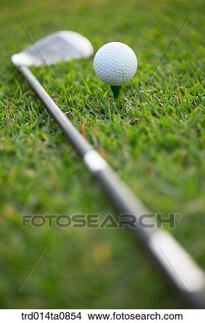 golf, field, golf ball, ball, golf club, driver, golf View Large Photo Image Picture - golf, field, golf ball, ball, golf club, driver, golf. Fotosearch