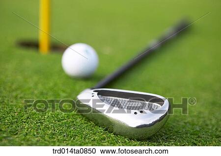 golf, field, golf ball, ball, golf club, driver, golf View Large Photo Image Stock Image - golf, field, golf ball, ball, golf club, driver, golf. Fotosearch