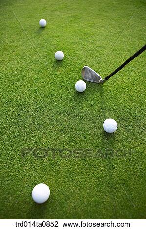 golf, field, golf ball, ball, golf club, driver, golf View Large Photo Image Stock Image - golf, field, golf ball, ball, golf club, driver, golf. Fotosearch