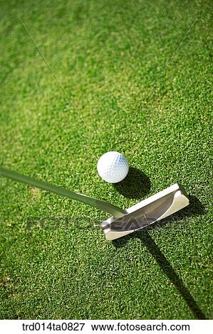 golf, field, golf ball, ball, golf club, driver, golf View Large Photo Image Stock Photo - golf, field, golf ball, ball, golf club, driver, golf. Fotosearch