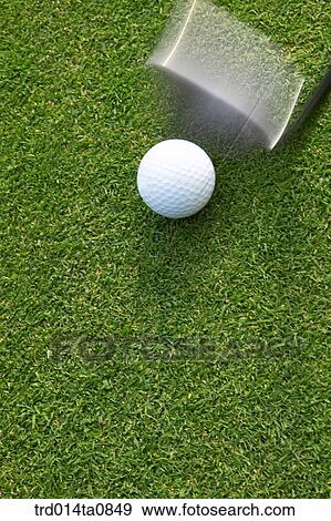Stock Photo - golf, field, golf ball, ball, golf club, driver, golf. Fotosearch