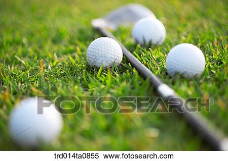 Stock Photography - golf, field, golf ball, ball, golf club, driver, golf. Fotosearch