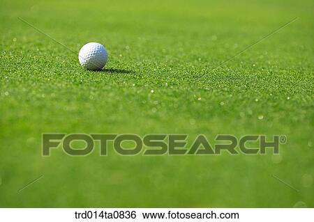 golf, field, golf ball, lawn grass, lawn View Large Photo Image Stock Photograph - golf, field, golf ball, lawn grass, lawn. Fotosearch