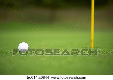 golf, field, golf ball, lawn grass, lawn, hole, flag View Large Photo Image Picture - golf, field, golf ball, lawn grass, lawn, hole, flag. Fotosearch