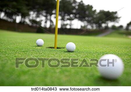 golf, field, golf ball, lawn grass, lawn, hole, flag View Large Photo Image Stock Image - golf, field, golf ball, lawn grass, lawn, hole, flag. Fotosearch