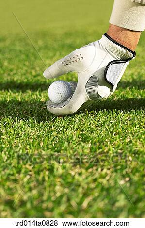 person, leisure, free time, hobby, golf, field, hand View Large Photo Image Stock Photo - person, leisure, free time, hobby, golf, field, hand. Fotosearch