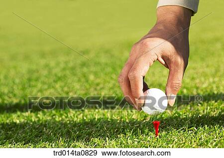 person, leisure, free time, hobby, golf, field, hand View Large Photo Image Stock Photo - person, leisure, free time, hobby, golf, field, hand. Fotosearch
