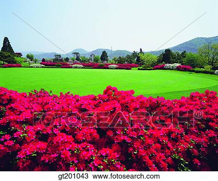 outdoor, exterior, flower, day, daytime, daylight, lawn View Large Photo Image Stock Image - outdoor, exterior, flower, day, daytime, daylight, lawn. Fotosearch