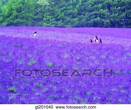 people, person, outdoor, exterior, flower, day, daytime View Large Photo Image Stock Image - people, person, outdoor, exterior, flower, day, daytime. Fotosearch