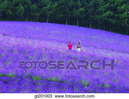 Stock Image - people, person, two persons, two, woman, women. Fotosearch