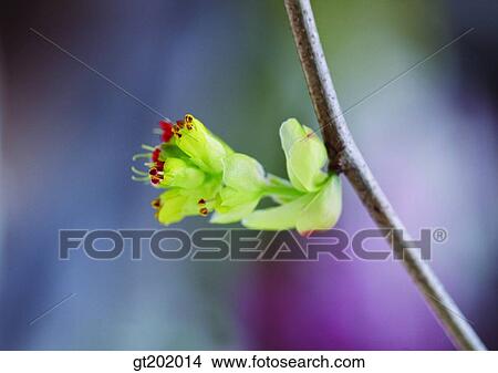 outdoor, exterior, day, daytime, daylight, nature, spring View Large Photo Image Picture - outdoor, exterior, day, daytime, daylight, nature, spring. Fotosearch