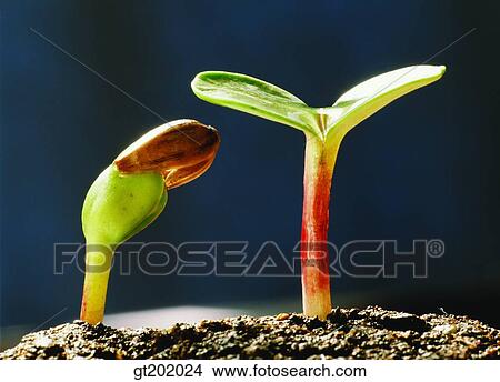 outdoor, exterior, day, daytime, daylight, nature, spring View Large Photo Image Picture - outdoor, exterior, day, daytime, daylight, nature, spring. Fotosearch