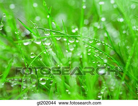 outdoor, exterior, day, daytime, daylight, nature, plant View Large Photo Image Picture - outdoor, exterior, day, daytime, daylight, nature, plant. Fotosearch